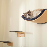 LIORCE Large Cat Wall Shelves with 2 Cat Wall Steps -  Modern Cat Wall Furniture, Cream